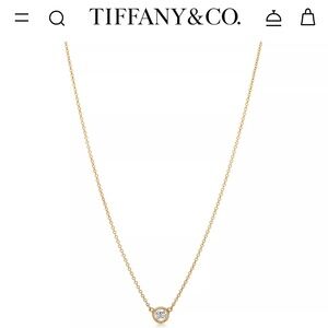 Tiffany & Co. Necklace. Original price $1600.